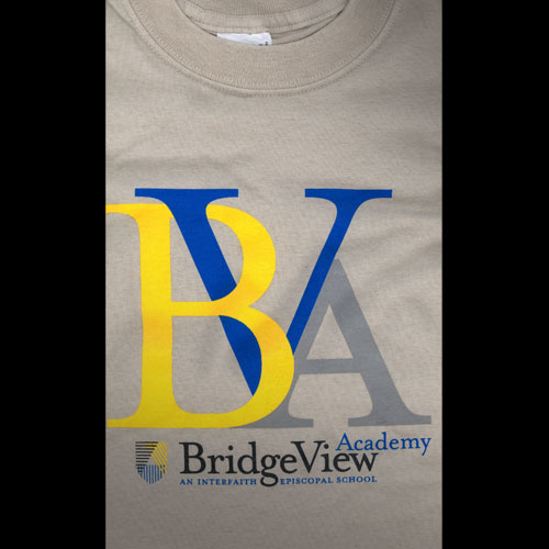 BridgeView Academy